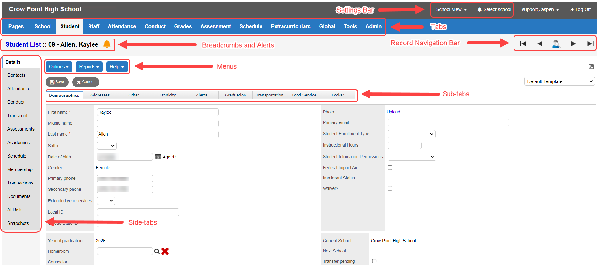 Overview of Aspen pages