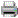 Quick Print icon